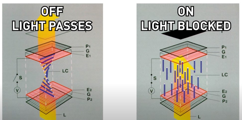 TN vs IPS vs VA: Which LCD Monitor Meets Your Needs Better?